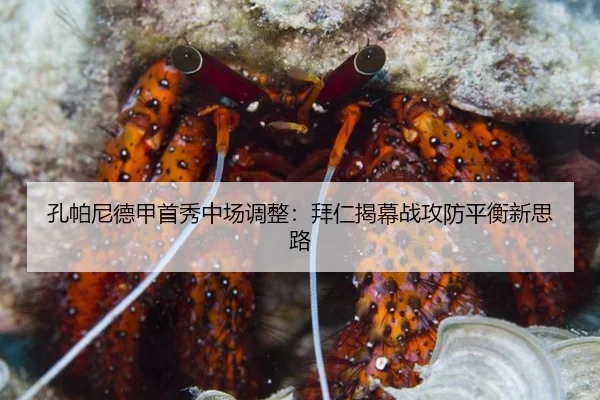 kong-pa-ni-de-jia-shou-xiu-zhong-chang-tiao-zheng-bai-ren-jie-mu-zhan-gong-fang-ping-heng-xin-si-lu-3-954.jpg